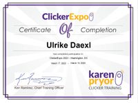 Clicker-Expo